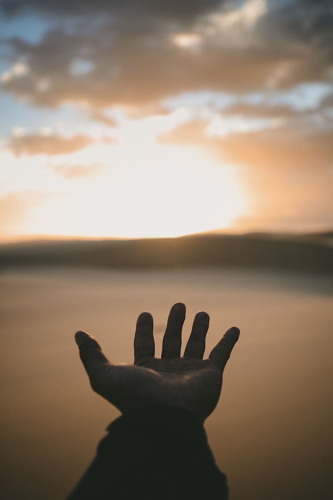 hand reaching out to the skies