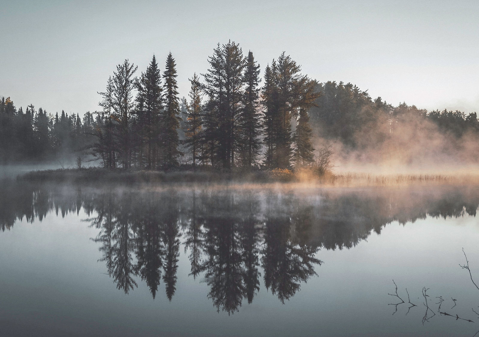 misty forest reflection lake