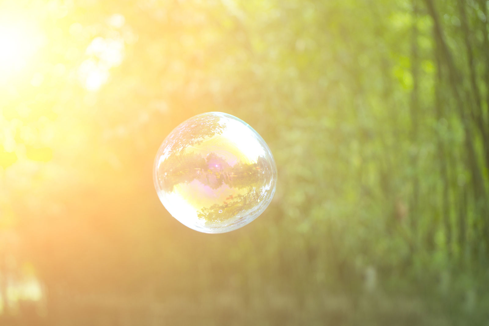 bubble and green background