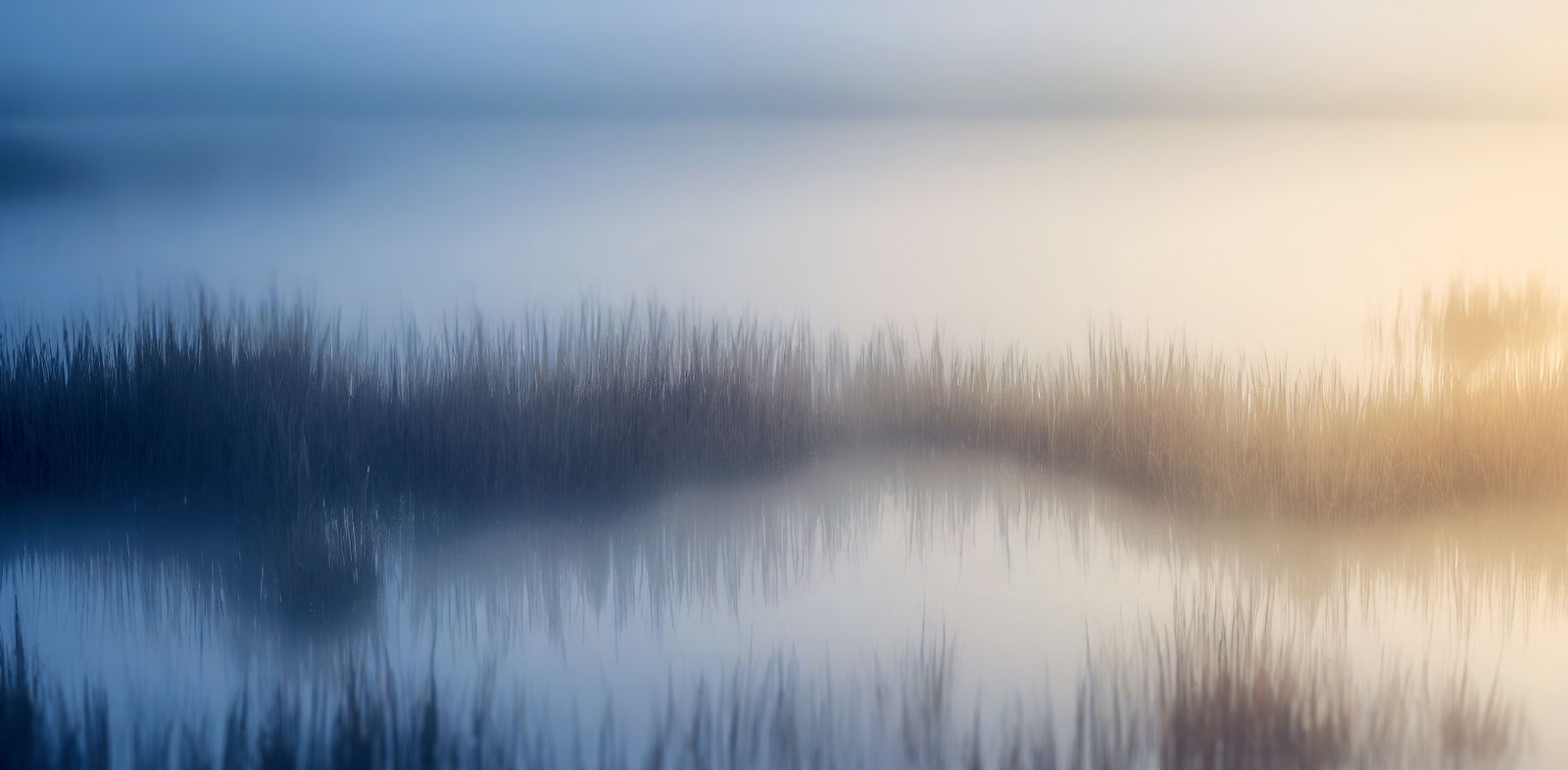 Fog settling on a lake
