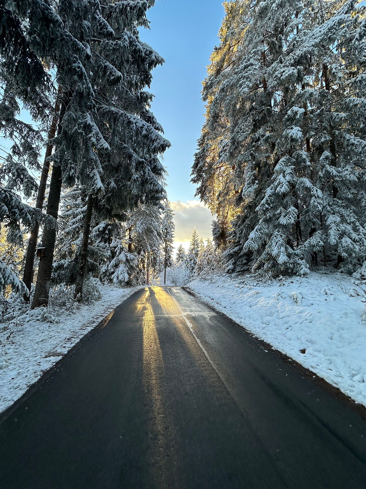 winter snow forest street